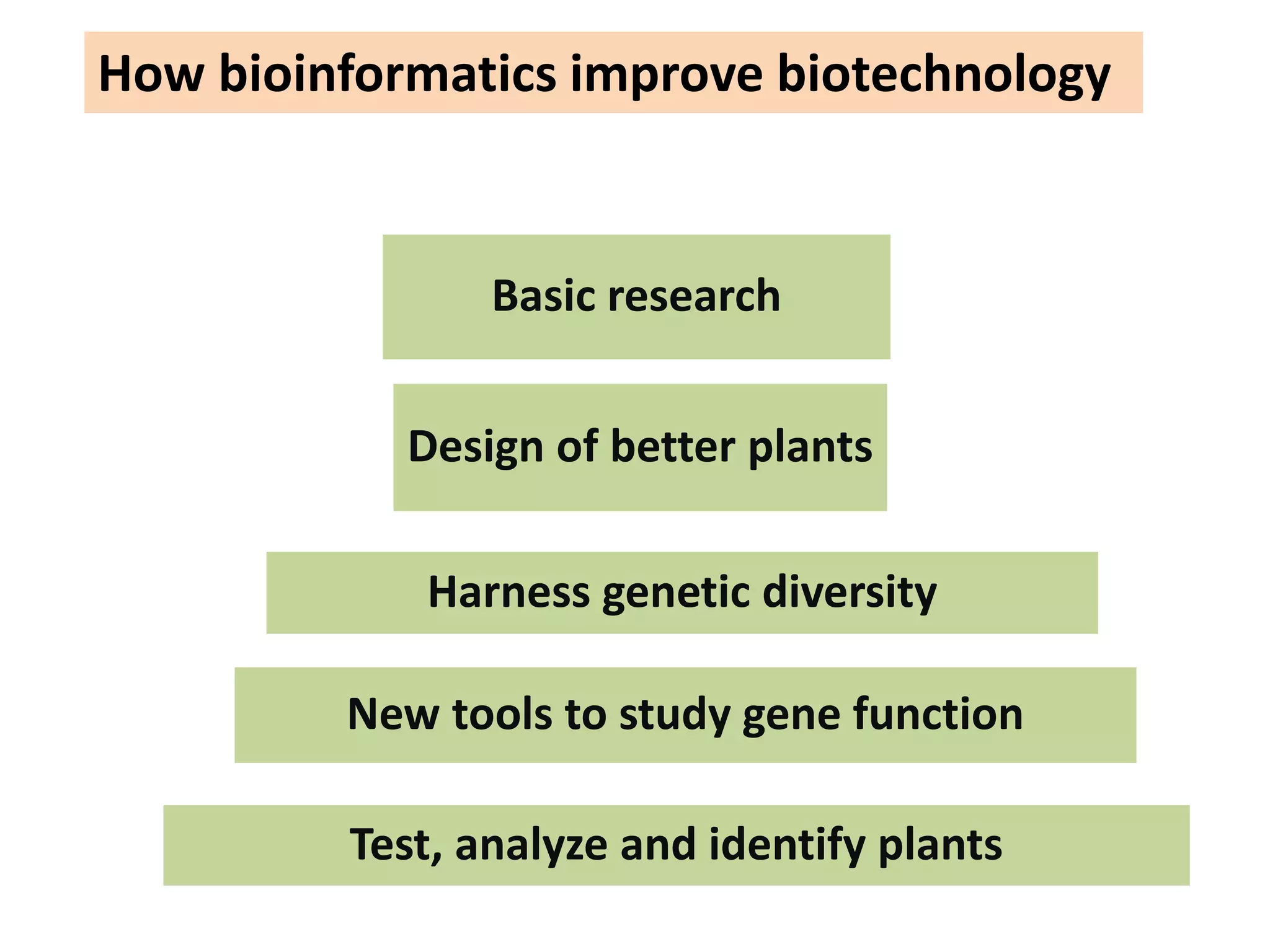 How bioinformatics improve biotechnology
Basic research
Design of better plants
Harness genetic diversity
New tools to study gene function
Test, analyze and identify plants
 