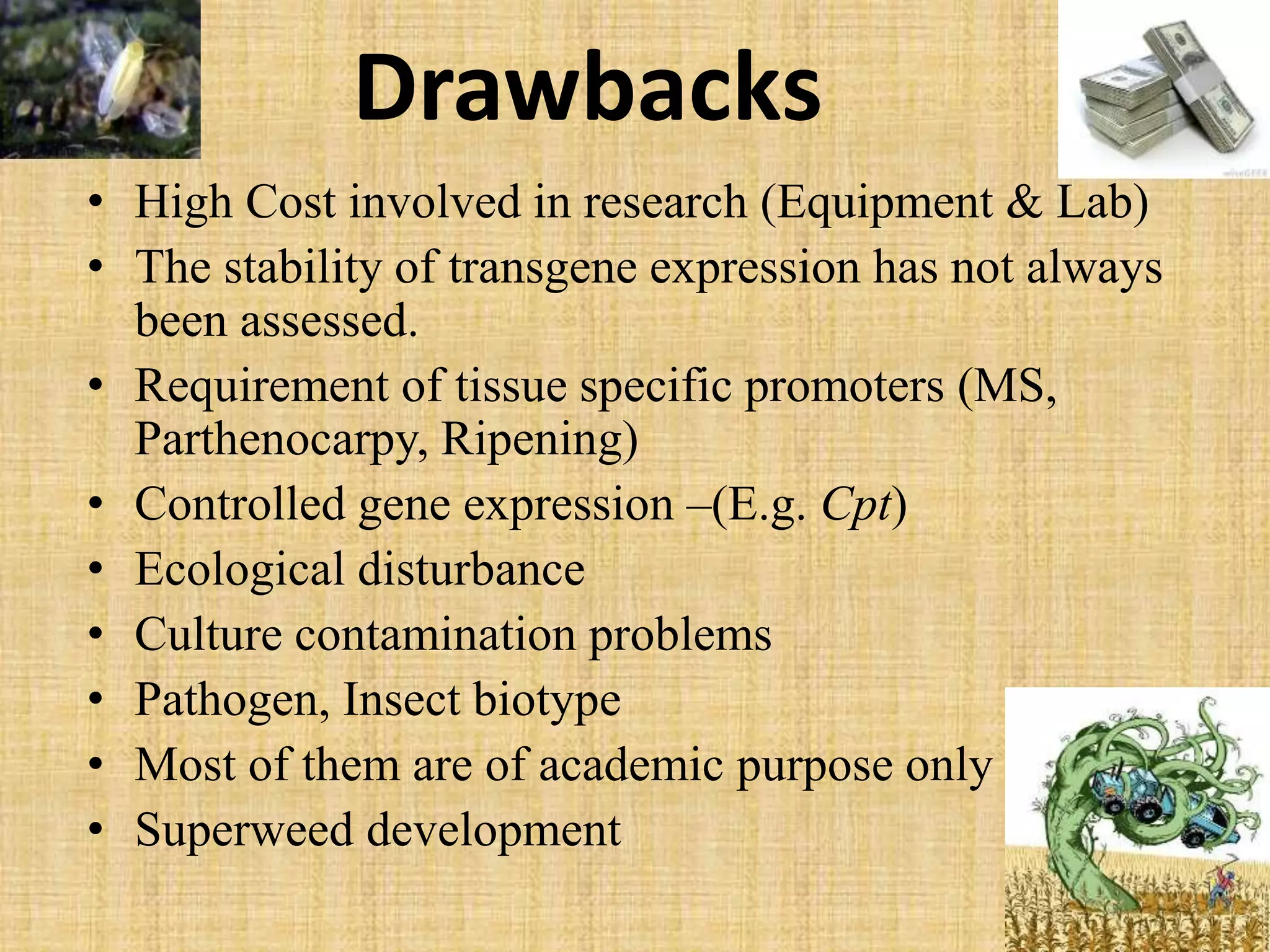 Drawbacks
• High Cost involved in research (Equipment & Lab)
• The stability of transgene expression has not always
been assessed.
• Requirement of tissue specific promoters (MS,
Parthenocarpy, Ripening)
• Controlled gene expression –(E.g. Cpt)
• Ecological disturbance
• Culture contamination problems
• Pathogen, Insect biotype
• Most of them are of academic purpose only
• Superweed development
 