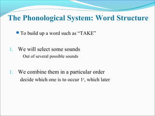 The Phonological System: Word Structure
To build up a word such as “TAKE”
1. We will select some sounds
Out of several possible sounds
1. We combine them in a particular order
decide which one is to occur 1st
, which later
 