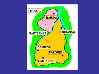 Regione situata nel sud ovest della francia in Aquitania, nel dipartimento della Gironde Clima oceanico 123000 ha di sup 5,5 milioni di hl come produzione media 22000 proprietari di vigneti 10% della produzione vino bianco 