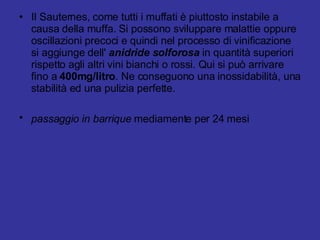 Il Sauternes, come tutti i muffati è piuttosto instabile a causa della muffa. Si possono sviluppare malattie oppure oscillazioni precoci e quindi nel processo di vinificazione si aggiunge dell'  anidride solforosa  in quantità superiori rispetto agli altri vini bianchi o rossi. Qui si può arrivare fino a  400mg/litro . Ne conseguono una inossidabilità, una stabilità ed una pulizia perfette. passaggio in barrique  mediamente per 24 mesi   