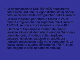 La denominazione SAUTERNES attualmente conta circa 2000 ha. di vigne distribuite in cinque comuni disposti nella riva "gauche" della Garonna  La resa massima per ettaro è fissata in 25 hl. mentre i migliori cru non superano mai il limite di 15-20 hl. se non ancora inferiore, circa 9-10 h Il terreno di Sauternes è formato da quattro terrazze alluvionali degradanti verso la Garonna e presentandosi, di volta in volta, argillose, calcaree, ghiaiose, sabbiose ed addirittura notevole mescolanza delle varie componenti. La fascia collinare supera difficilmente i 70 m. s.l.m. con eleganti e dolci andamenti ondulati. 