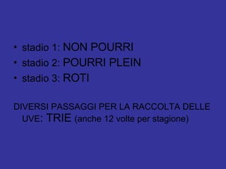stadio 1:  NON POURRI stadio 2:  POURRI PLEIN stadio 3:  ROTI DIVERSI PASSAGGI PER LA RACCOLTA DELLE UVE : TRIE  (anche 12 volte per stagione) 