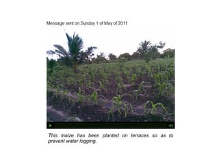 Sauti ya wakulima: using mobile phones to make the voices of rural farmers in Tanzania heard.