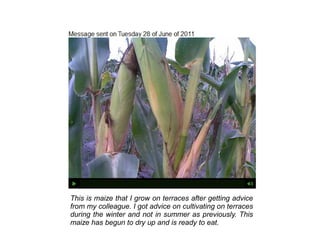 Sauti ya wakulima: using mobile phones to make the voices of rural farmers in Tanzania heard.