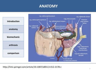 07/06/2016 77
• Bibliographie
ANATOMY
introduction
anatomy
biomechanic
arthrosis
comparison
http://link.springer.com/article/10.1007/s00113-012-2178-z
 