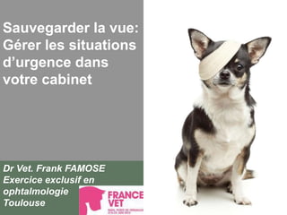 Sauvegarder la vue:
Gérer les situations
d’urgence dans
votre cabinet
Dr Vet. Frank FAMOSE
Exercice exclusif en
ophtalmologie
Toulouse
 