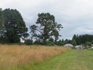 Sauvie island center 