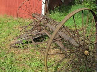 Sauvie island center 