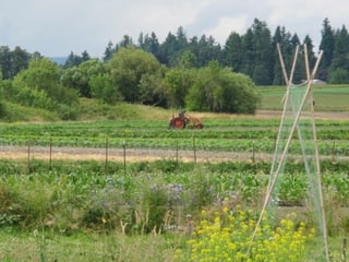 Sauvie island center 