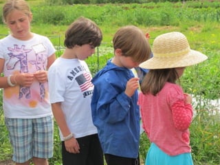 Sauvie island center 