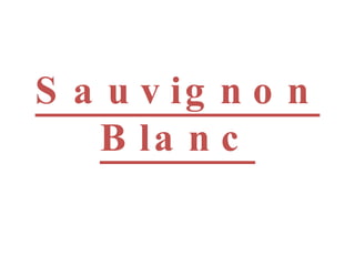 Sauvignon Blanc 