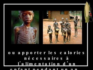 ou apporter les calories nécessaires à l'alimentation d'un enfant pendant un an... 