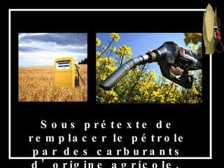 Sous prétexte de remplacer le pétrole par des carburants d’origine agricole,  