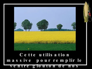 Cette utilisation massive  pour remplir le ventre glouton de nos voitures provoque aussi les déforestations, 