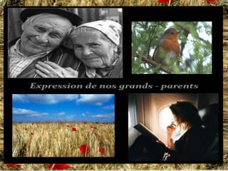 Sauzeau expressions de-nos-grands-parents-1-0