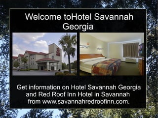 Welcome toHotel Savannah Georgia  Get information on Hotel Savannah Georgia and Red Roof Inn Hotel in Savannah  from www.savannahredroofinn.com. 