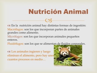 Nutrición Animal
                            
 En la nutrición animal hay distintas formas de ingestión:
Macrófagos: son los que incorporan partes de animales
grandes como alimento.
Micrófagos: son los que incorporan animales pequeños
enteros.
Fluidófagos: son los que se alimentan de fluidos corporales.

 Los animales ingieren y luego
eliminan el alimento, pero hay unos
cuantos procesos en medio…
 