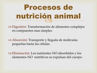 Procesos de
     nutrición animal
             
 Digestión: Transformación de alimentos complejos
  en compuestos mas simples.

 Absorción: Transporte y llegada de moléculas
  pequeñas hasta las células.

 Eliminación: Los nutrientes NO absorbidos y los
  elementos NO nutritivos se expulsan del cuerpo.
 