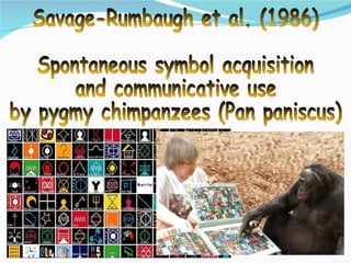Savage-Rumbaugh et al. (1986) Spontaneous symbol acquisition and communicative use by pygmy chimpanzees (Pan paniscus) 