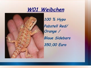 Pastell /Red /Orange