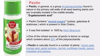 Ss Pectan Savan | PPTX