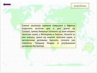 Саване заузимају пгрпмне ппвршине у Африци
(нарпчитп истпчни деп и деп јужнп пд
Сахаре), Јужнпј Америци (севернп пд зпне кишних
трппских шума, у Венецуели и Гвајани, ппзнати су
кап љанпси, јужнп пд кишних трппских шума, у
централним делпвима Бразила, ппзнати кап
камппси), Предопј Индији и унутрашоим
делпвима Аустралије.
распрпстраоеое
 