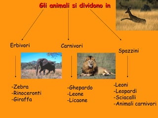 Gli animali ssii ddiivviiddoonnoo iinn 
Erbivori Carnivori 
Spazzini 
-Ghepardo 
-Leone 
-Licaone 
-Zebra 
-Rinoceronti 
-Giraffa 
-Leoni 
-Leopardi 
-Sciacalli 
-Animali carnivori 
 