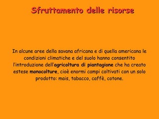 Sfruttamento ddeellllee rriissoorrssee 
In alcune aree della savana africana e di quella americana le 
condizioni climatiche e del suolo hanno consentito 
l’introduzione dell’agricoltura di piantagione che ha creato 
estese monocolture, cioè enormi campi coltivati con un solo 
prodotto: mais, tabacco, caffè, cotone. 
 