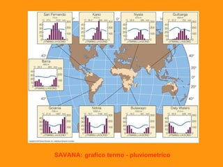 SAVANA: grafico termo - pluviometrico 
 
