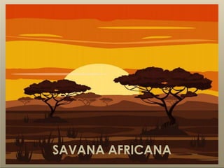 SAVANA AFRICANA
 