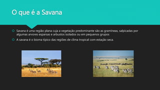 O que é a Savana
 Savana é uma região plana cuja a vegetação predominante são as gramíneas, salpicadas por
algumas arvores esparsas e arbustos isolados ou em pequenos grupos
 A savana é o bioma típico das regiões de clima tropical com estação seca.
 