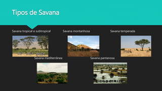 Tipos de Savana
Savana tropical e subtropical Savana montanhosa Savana temperada
Savana mediterrânea Savana pantanosa
 