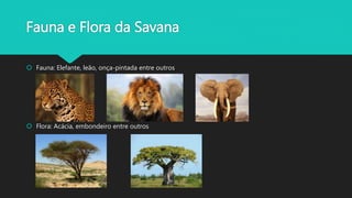 Fauna e Flora da Savana
 Fauna: Elefante, leão, onça-pintada entre outros
 Flora: Acácia, embondeiro entre outros
 