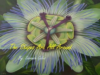 The Shapes Are All Around
   By: Savanah Gales
 