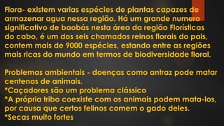 Flora- existem varias espécies de plantas capazes de
armazenar agua nessa região. Há um grande numero
significativo de baobás nesta área da região Florísticas
do cabo, é um dos seis chamados reinos florais do pais,
contem mais de 9000 espécies, estando entre as regiões
mais ricas do mundo em termos de biodiversidade floral.
Problemas ambientais - doenças como antraz pode matar
centenas de animais.
*Caçadores são um problema clássico
*A própria tribo coexiste com os animais podem mata-los,
por causa que certos felinos comem o gado deles.
*Secas muito fortes
 