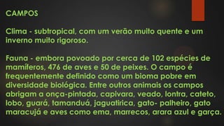 CAMPOS
Clima - subtropical, com um verão muito quente e um
inverno muito rigoroso.
Fauna - embora povoado por cerca de 102 espécies de
mamíferos, 476 de aves e 50 de peixes. O campo é
frequentemente definido como um bioma pobre em
diversidade biológica. Entre outros animais os campos
abrigam a onça-pintada, capivara, veado, lontra, cateto,
lobo, guará, tamanduá, jaguatirica, gato- palheiro, gato
maracujá e aves como ema, marrecos, arara azul e garça.
 