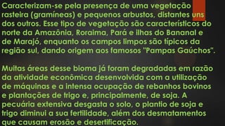 Caracterizam-se pela presença de uma vegetação
rasteira (gramíneas) e pequenos arbustos, distantes uns
dos outros. Esse tipo de vegetação são característicos do
norte da Amazônia, Roraima, Pará e ilhas do Bananal e
de Marajó, enquanto os campos limpos são típicos da
região sul, dando origem aos famosos "Pampas Gaúchos".
Muitas áreas desse bioma já foram degradadas em razão
da atividade econômica desenvolvida com a utilização
de máquinas e a intensa ocupação de rebanhos bovinos
e plantações de trigo e, principalmente, de soja. A
pecuária extensiva desgasta o solo, o plantio de soja e
trigo diminui a sua fertilidade, além dos desmatamentos
que causam erosão e desertificação.
 