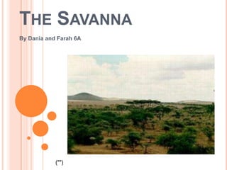 The Savanna By Dania and Farah 6A ("") 