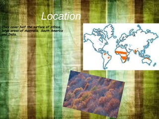 Location
They cover half the surface of Africa,
large areas of Australia, South America
and India.
 