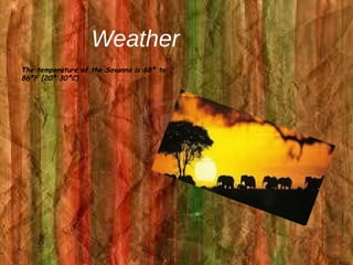 Weather
The temperature of the Savanna is 68º to
86ºF (20º 30ºC).
 