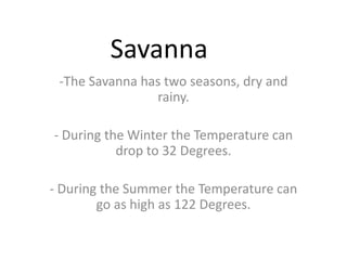 Savanna ,[object Object]
