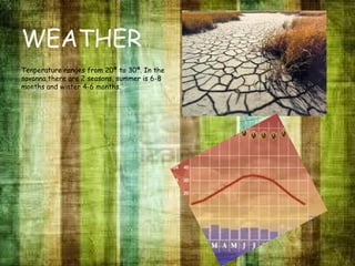 WEATHER
Tenperature ranges from 20ª to 30ª. In the
savanna there are 2 seasons, summer is 6-8
months and winter 4-6 months.
 