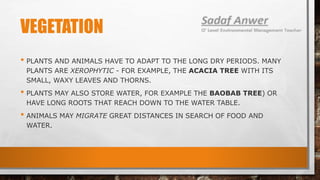 VEGETATION
• PLANTS AND ANIMALS HAVE TO ADAPT TO THE LONG DRY PERIODS. MANY
PLANTS ARE XEROPHYTIC - FOR EXAMPLE, THE ACACIA TREE WITH ITS
SMALL, WAXY LEAVES AND THORNS.
• PLANTS MAY ALSO STORE WATER, FOR EXAMPLE THE BAOBAB TREE) OR
HAVE LONG ROOTS THAT REACH DOWN TO THE WATER TABLE.
• ANIMALS MAY MIGRATE GREAT DISTANCES IN SEARCH OF FOOD AND
WATER.
 