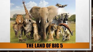 THE LAND OF BIG 5
 