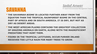 SAVANNA
• THE SAVANNAH BIOME IS LOCATED FURTHER AWAY FROM THE
EQUATOR THAN THE TROPICAL RAINFOREST BIOME IN THE CENTRAL
PART OF AFRICA AND IN SOUTH AMERICA. IT IS DRY, BUT NOT AS
DRY AS DESERT AREAS.
• THE WEST AFRICAN PLAINS CONTAINS THE GREATEST COLLECTION
OF GRAZING ANIMALS ON EARTH, ALONG WITH THE MAGNIFICIENT
PREDATORS THAT HUNT THEM.
• FOUND IN THE TROPICAL LATITUDES, OCCUR FURHER INLAND
RECEIVES TOO LITTLE RAIN FOR MANY TREES TO GROW.
 