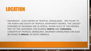 LOCATION
• SAVANNAHS - ALSO KNOWN AS TROPICAL GRASSLANDS - ARE FOUND TO
THE NORTH AND SOUTH OF TROPICAL RAINFOREST BIOMES. THE LARGEST
EXPANSES OF SAVANNAH ARE IN AFRICA, WHERE MUCH OF THE CENTRAL
PART OF THE CONTINENT, FOR EXAMPLE KENYA AND TANZANIA,
CONSISTS OF TROPICAL GRASSLAND. SAVANNAH GRASSLANDS CAN ALSO
BE FOUND IN BRAZIL IN SOUTH AMERICA.
 