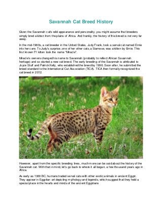 Savannah Cat Breed History
Given the Savannah cat's wild appearance and personality, you might assume that breeders
simply bred a kitten from the plains of Africa. And frankly, the history of this breed is not very far
away.
In the mid-1980s, a cat breeder in the United States, Judy Frank, took a serval cat named Ernie
into her care. To Judy's surprise, one of her other cats, a Siamese, was a kitten by Ernie. This
first known F1 kitten took the name "Miracle".
Miracle's owners changed his name to Savannah (probably to reflect African Savannah
heritage) and so started a new cat breed. The early breeding of the Savannah is attributed to
Joyce Stuff and Patrick Kelly, who established the breed by 1996. Soon after, he submitted the
breed standard to the International Cat Association (TICA). TICA then formally recognized the
cat breed in 2012.
However, apart from the specific breeding lines, much more can be said about the history of the
Savannah cat. With that in mind, let's go back to where it all began, a few thousand years ago in
Africa.
As early as 1300 BC, humans traded serval cats with other exotic animals in ancient Egypt.
They appear in Egyptian art depicting mythology and legends, which suggest that they held a
special place in the hearts and minds of the ancient Egyptians
 