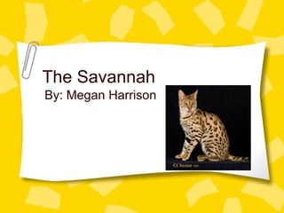 The Savannah By: Megan Harrison 