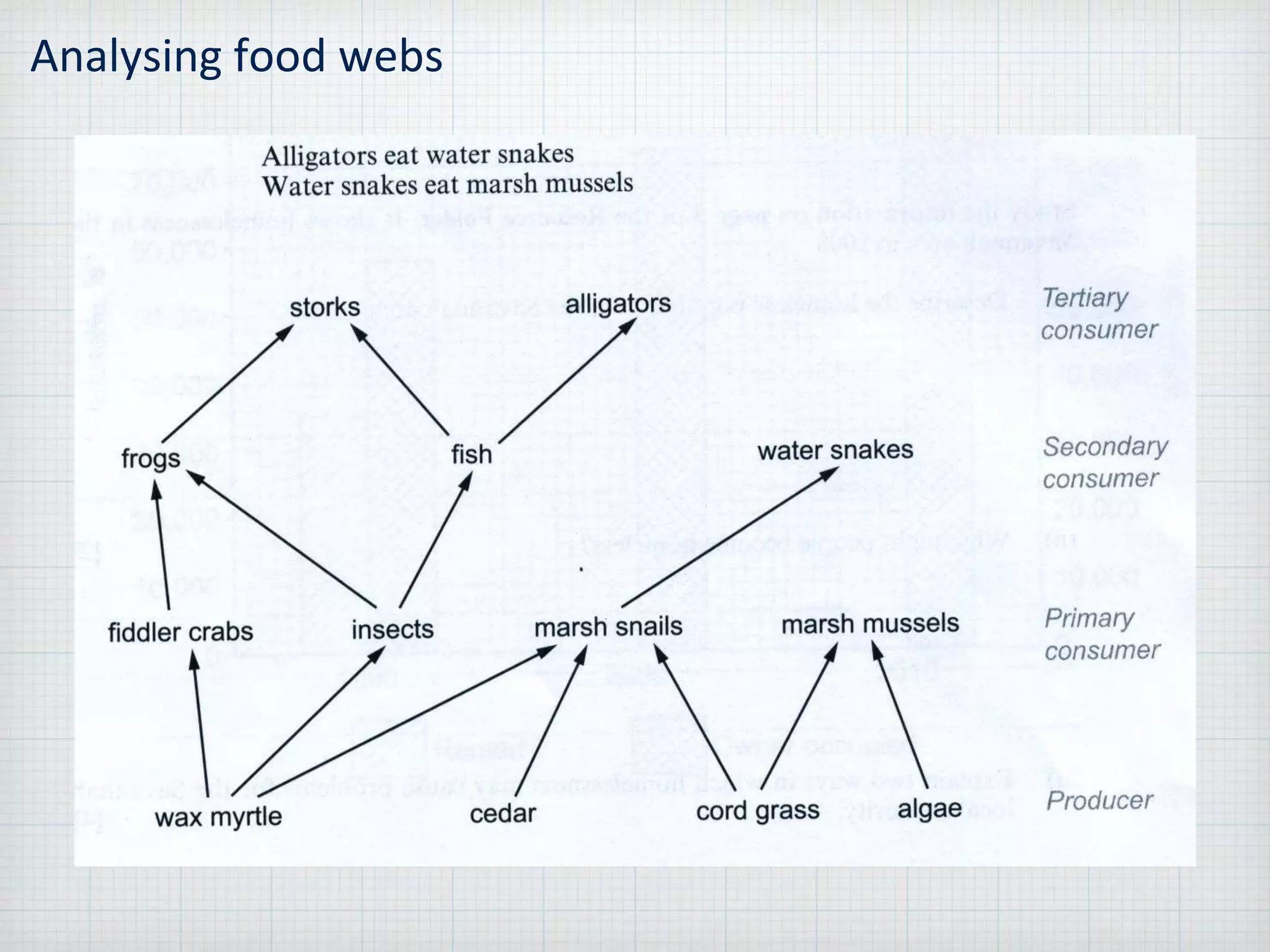 Analysing food webs
 